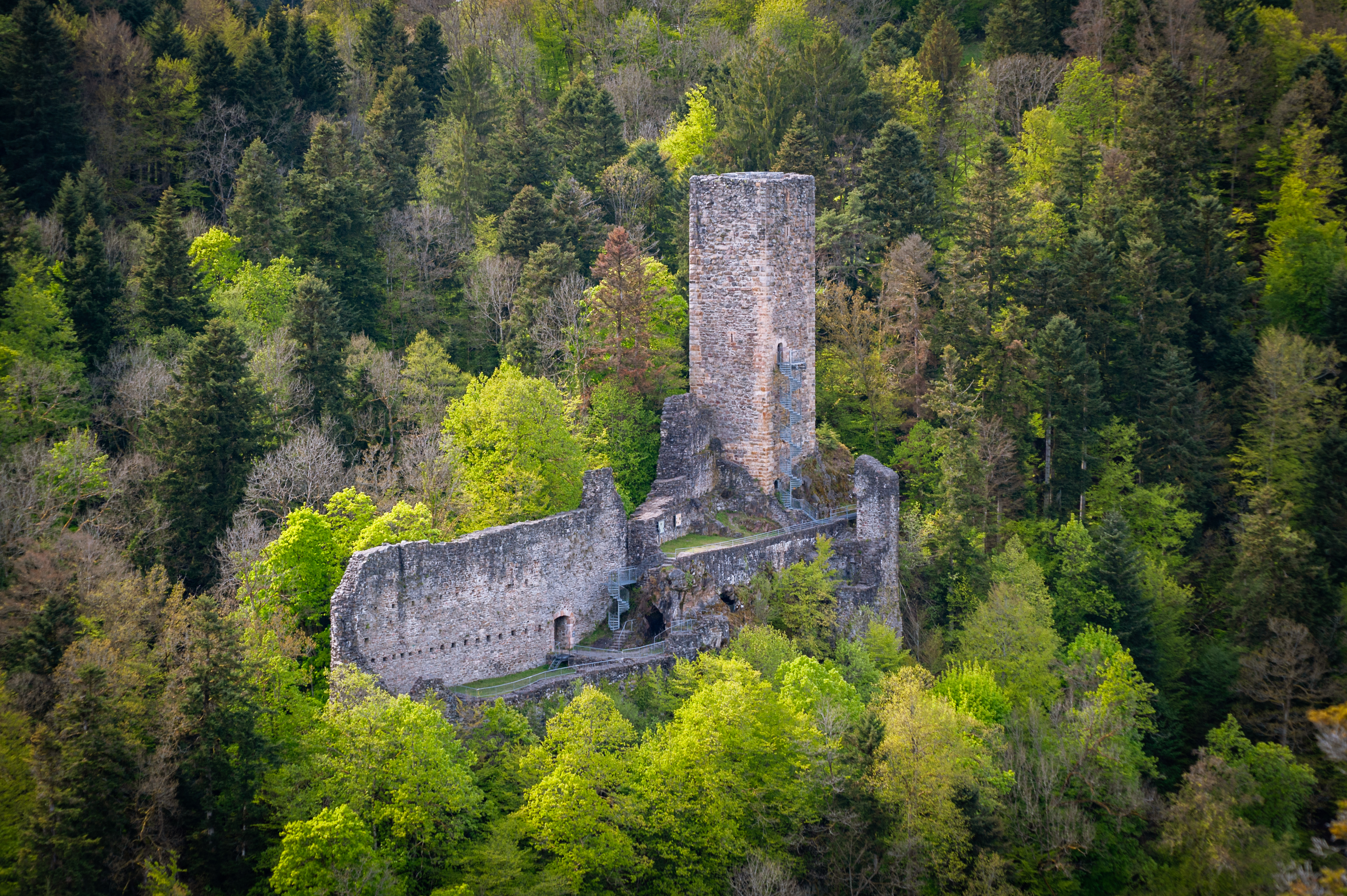  Die Burgruine Wieladingen 