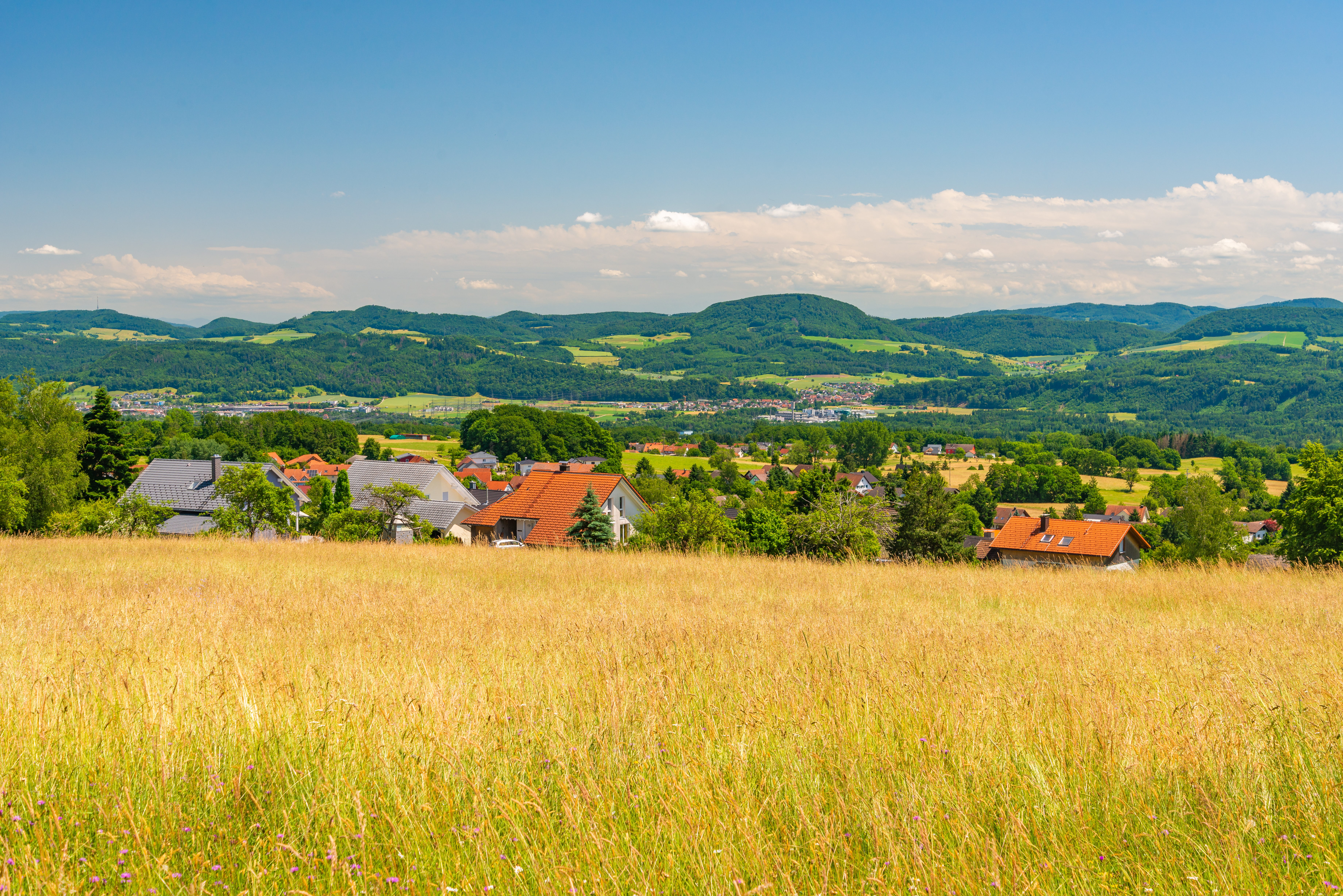  Rippolingen – Drajer, Schwarzenbach 