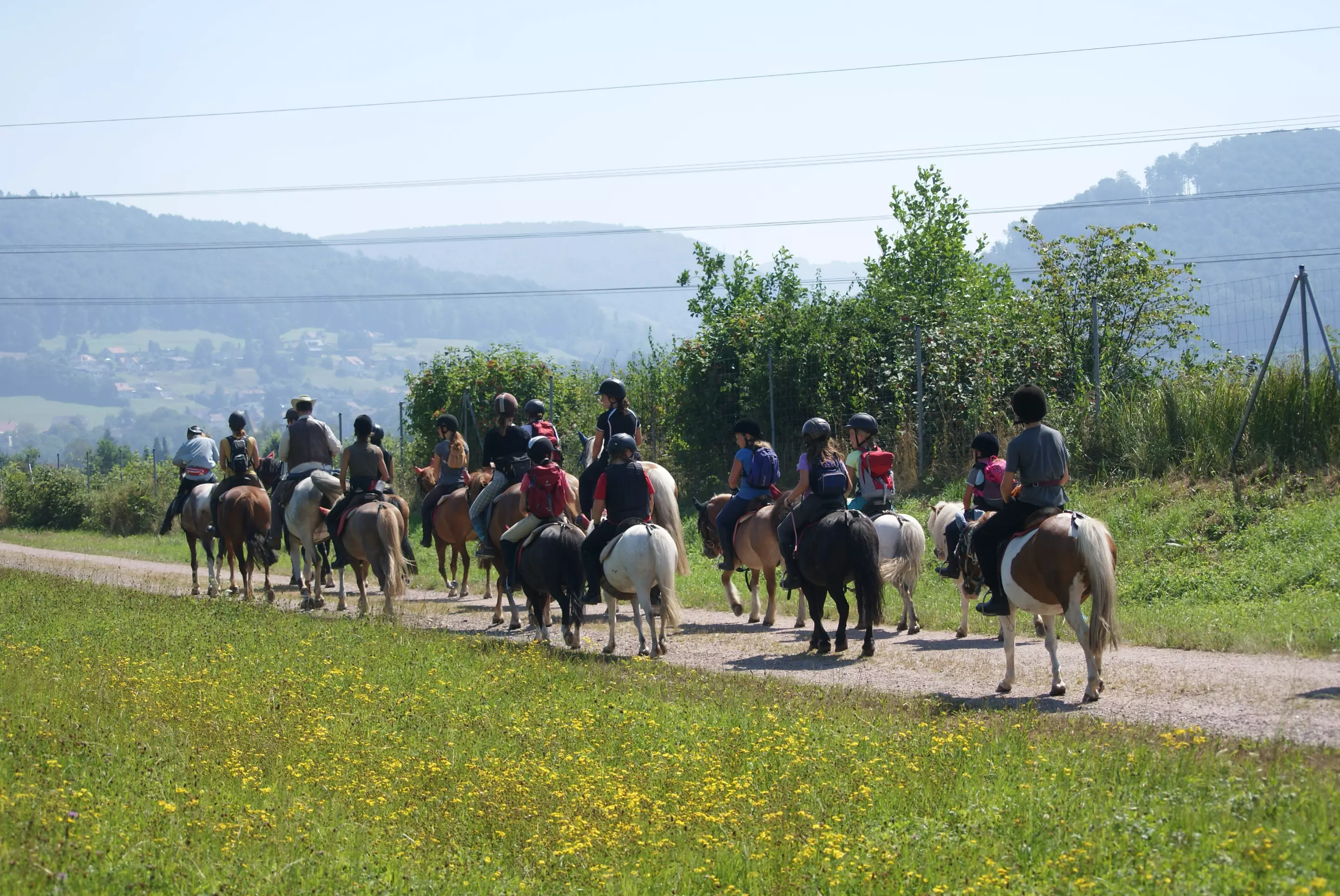 Bild zu Reit- und Ponyhof Grunholz e.V.