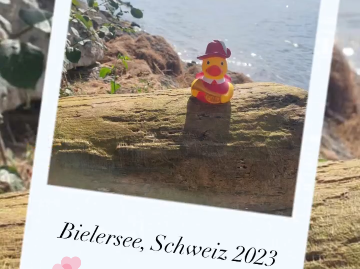  Werner am Bielersee (Schweiz) 