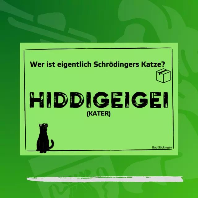 Kater-Postkarte "Schrödingers Katze"