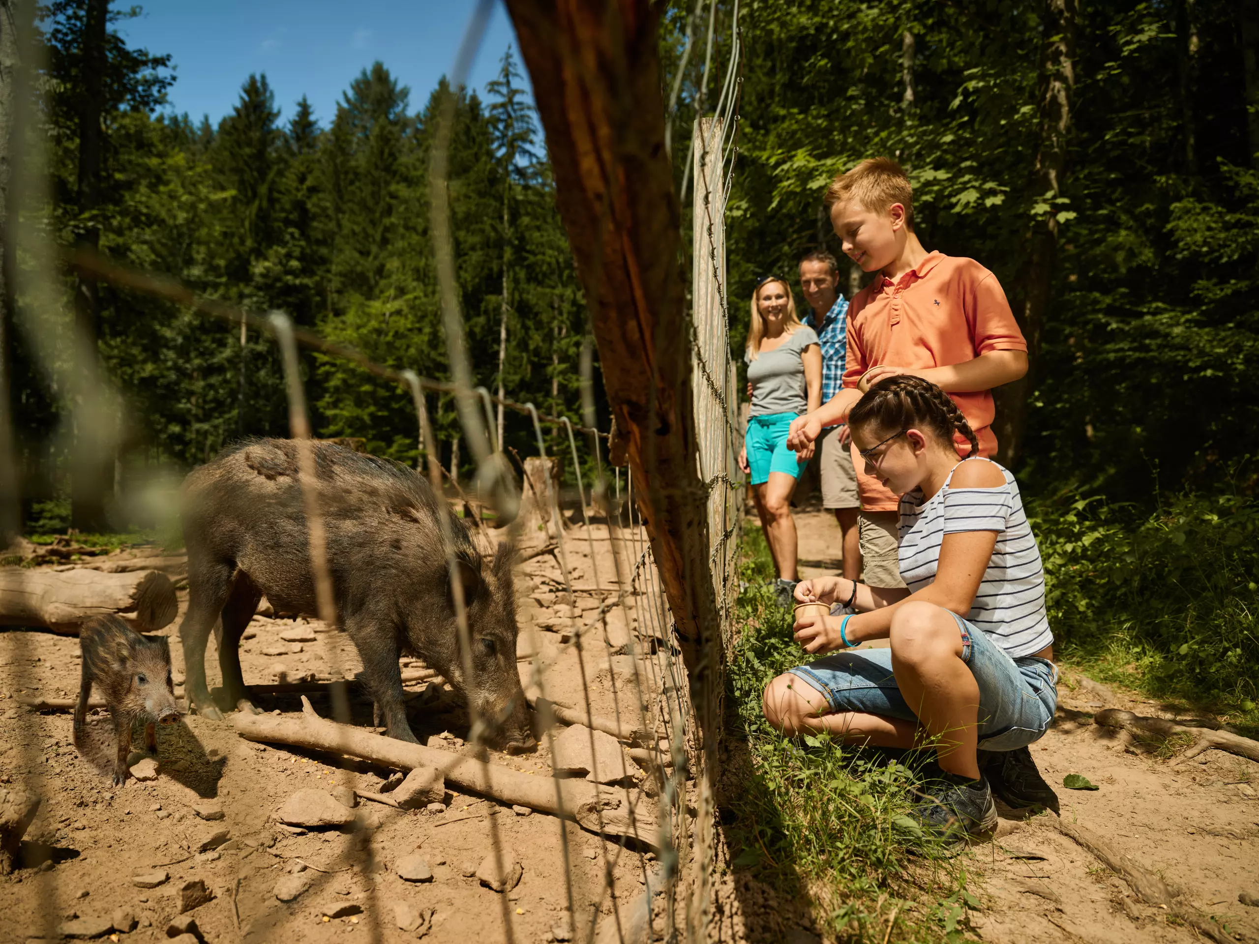 Bild zu Wildgehege Bad Säckingen