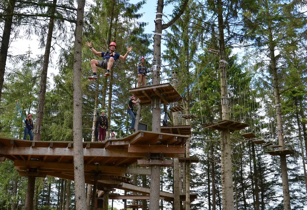 Bild zu Erlebniskletterwald Lörrach