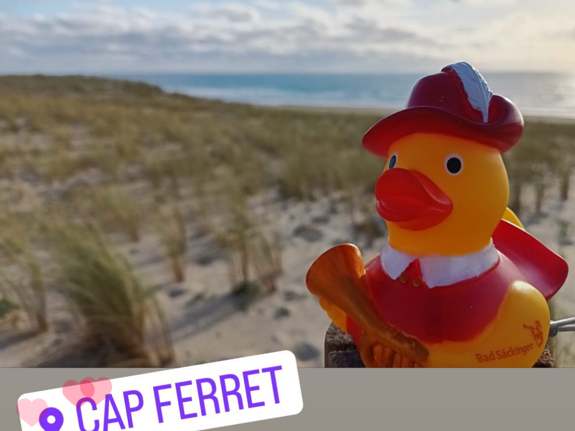  Werner in Cap Ferret (Frankreich) 