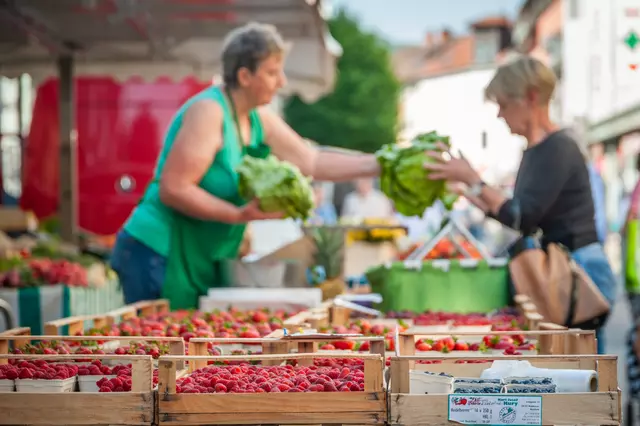 Wochenmarkt in Bad Säckingen, © Tourismus- und Kulturamt Bad Säckingen