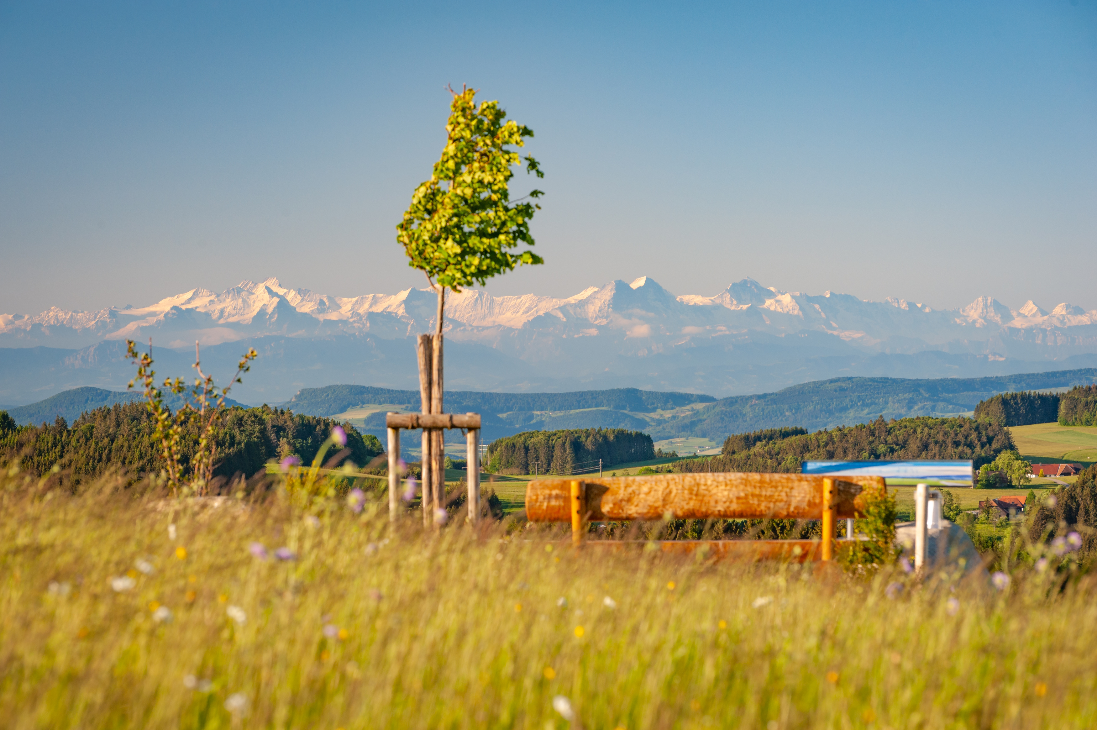  Alpenpanoramabänkle 