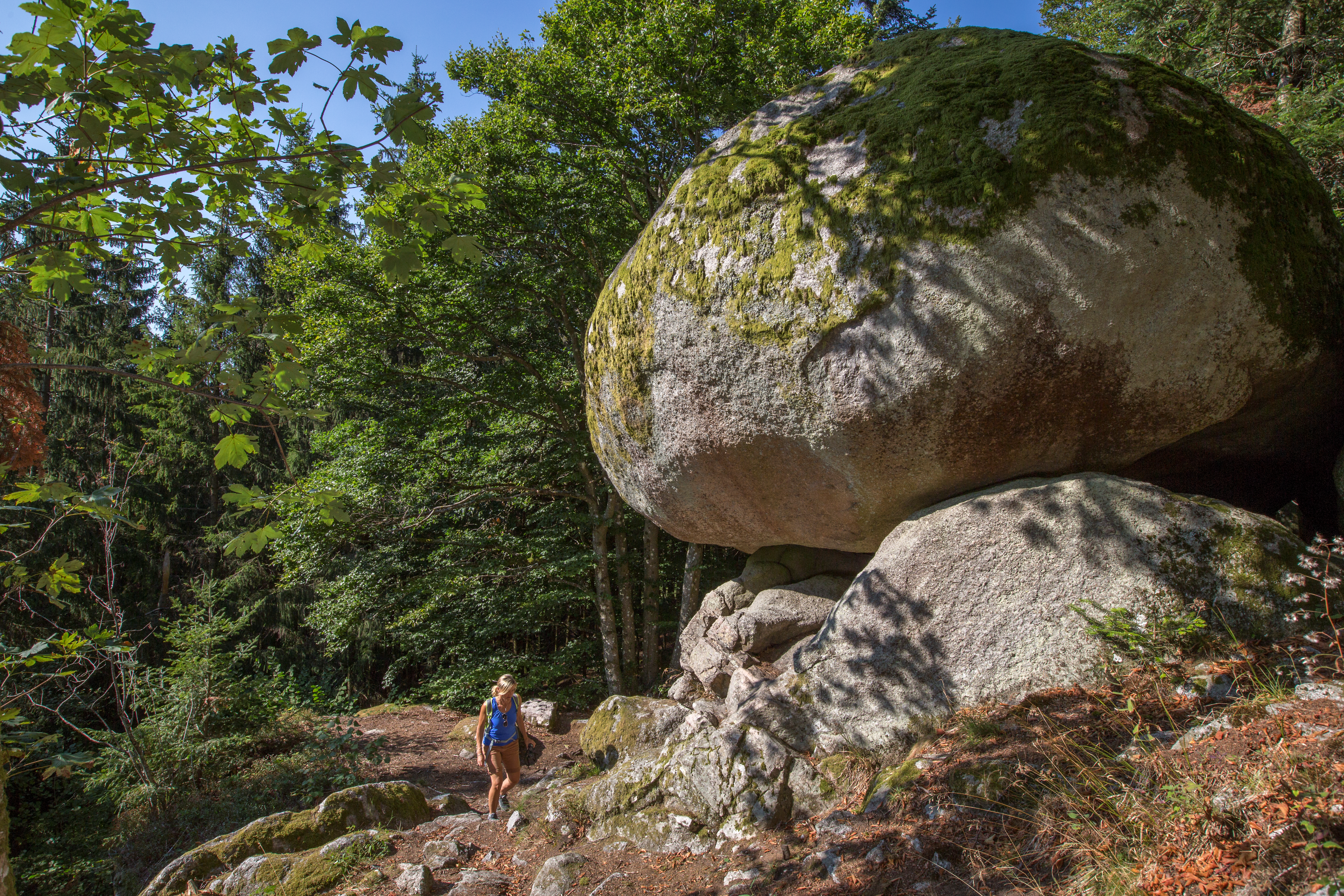  Solfelsen in Rickenbach 